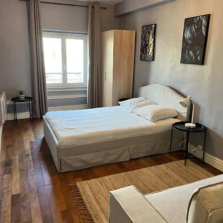 Authentique T2 A Perrache Lyon